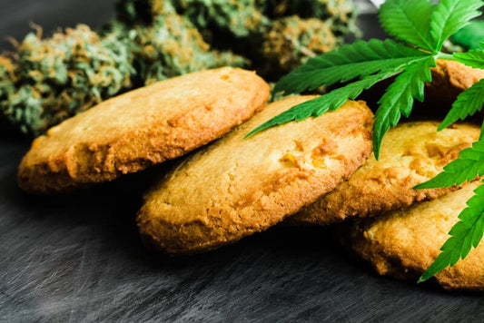 Curious about CBD edibles?