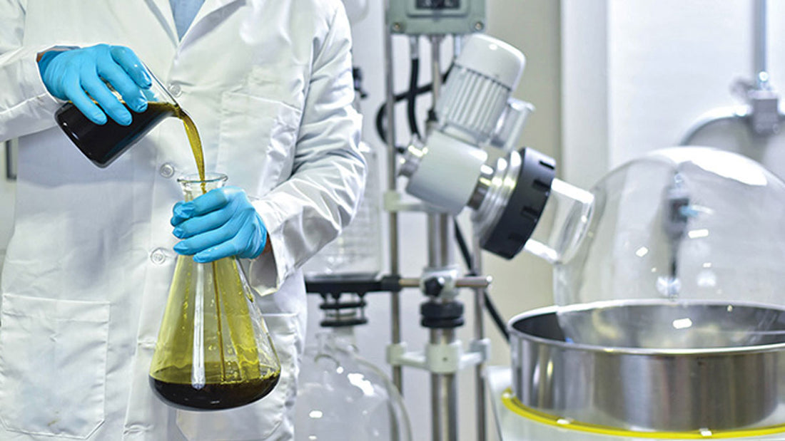 How is CBD oil made?