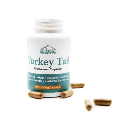 Fungapower Turkey Tail Mushroom Capsules - (90x500mg)