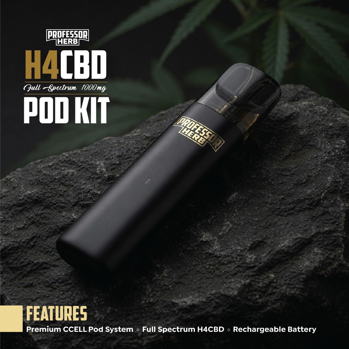 Professor Herb H4CBD Pod Kit on a dark rock with cannabis leaves in the background