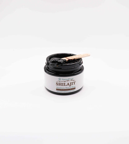 Naturapower Shilajit Himalayan Mineral Resin - (50g)