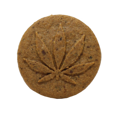 Euphoria CBD Cookies: Chocolate - 120mg (Pot of 12)