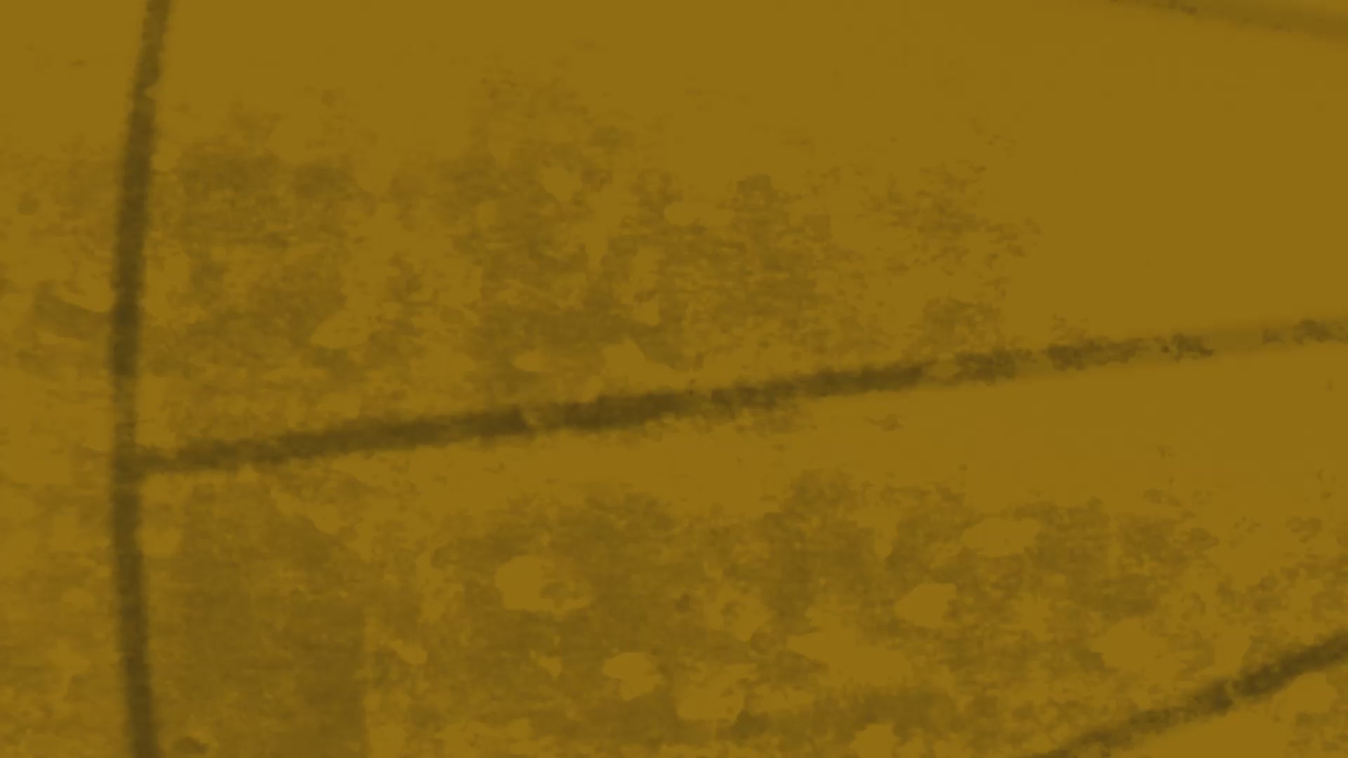 Load video: Coming 31.10.2025 from Monkey King