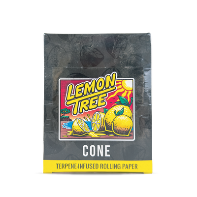 Orchard Beach Lemon Tree Cones (12 pcs)