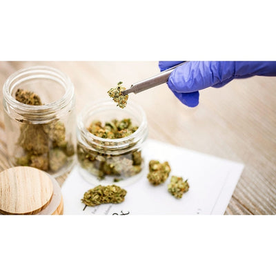 Dry Herb Testing Service (CBD/THC Analysis)